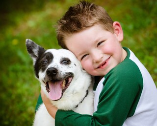 כלבים וילדים