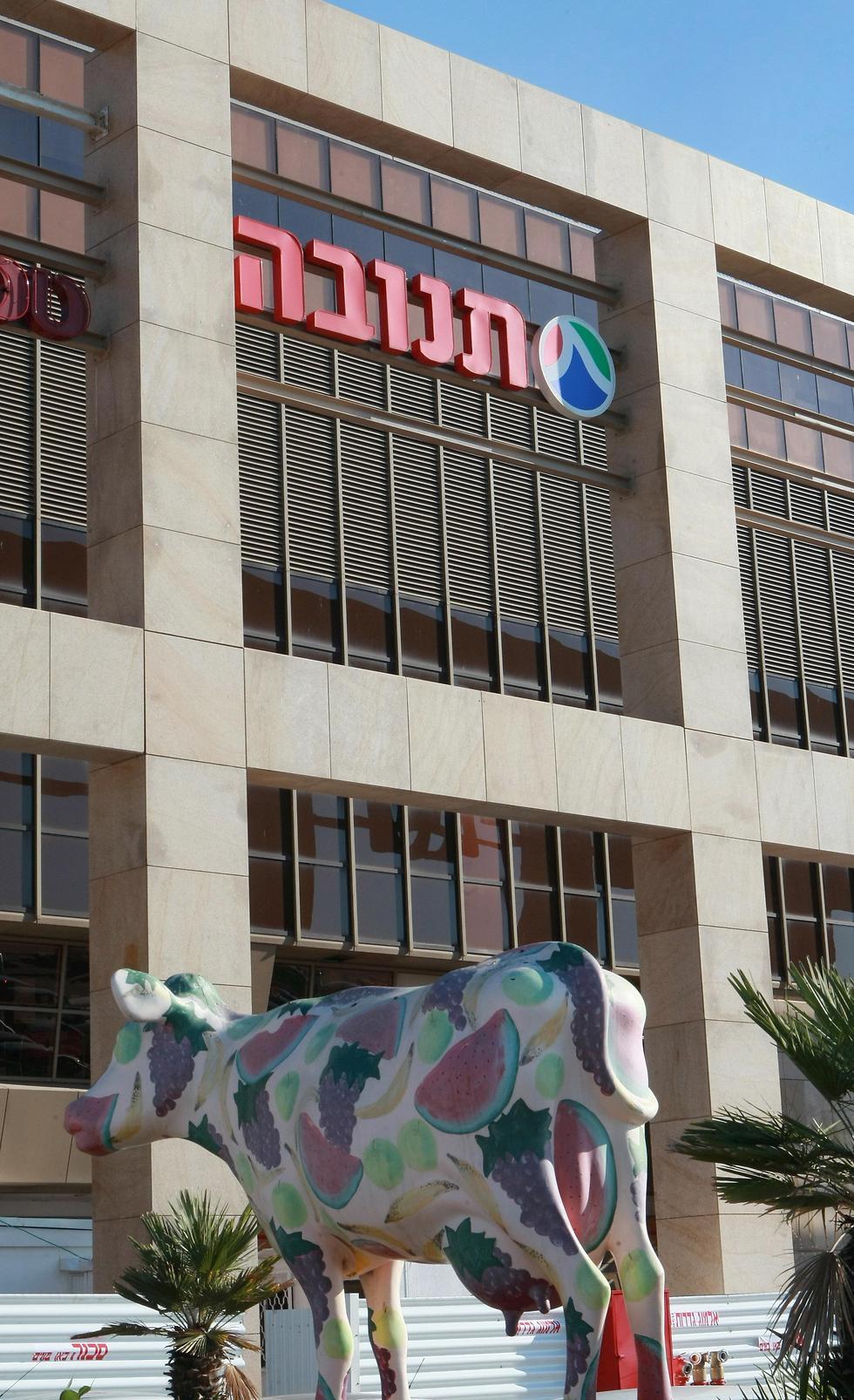 מכירות תנובה בירידה האם הקיבוצים חוזרים לתסריט מגה